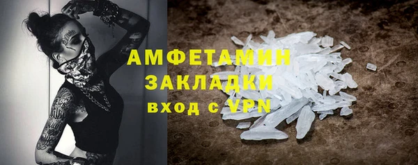 прущие грибы Абинск