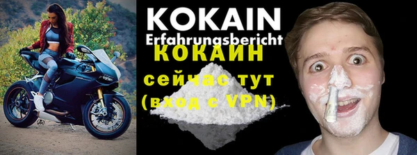 прущие грибы Абинск