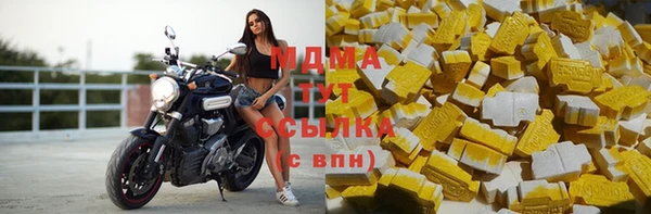прущие грибы Абинск